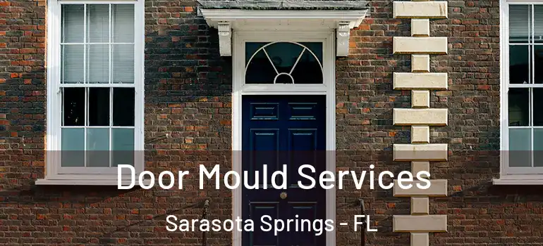 Door Mould Services Sarasota Springs - FL