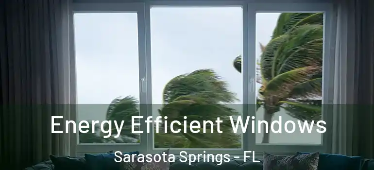 Energy Efficient Windows Sarasota Springs - FL