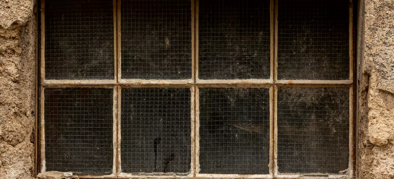 Traditional Double Front Doors in Sarasota Springs, FL