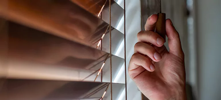 Double Roller Blinds in Sarasota Springs, FL