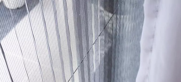 Fixing Screen Window Mesh in Sarasota Springs, FL