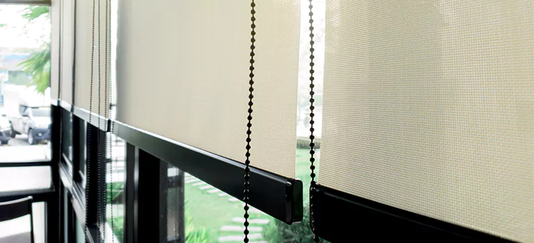 Blackout Window Shades in Sarasota Springs, FL