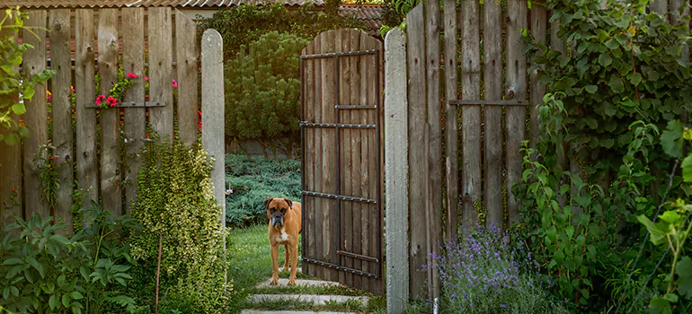 Winter Garden Garage Door Repair in Sarasota Springs,[location field=state]