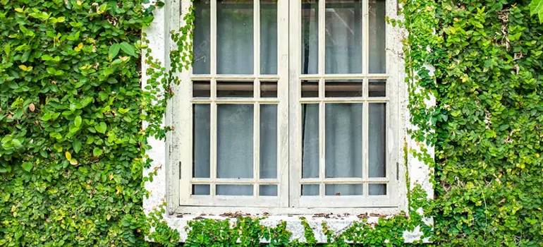 Garden Window Repair Near Me in Sarasota Springs, FL