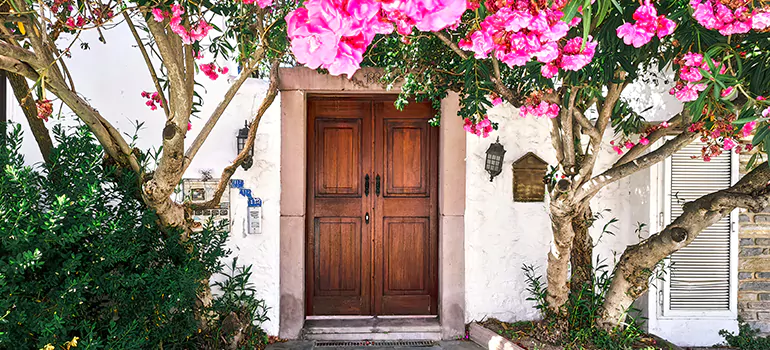 Traditional 4 Panel Internal Doors in Sarasota Springs, FL
