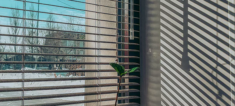 Commercial Window Blinds in Sarasota Springs, FL