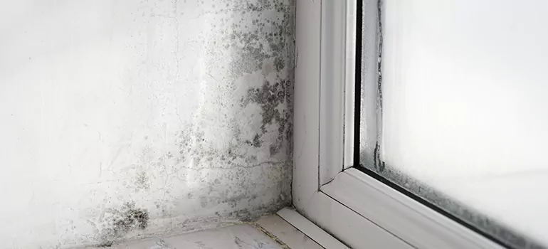 Sarasota Springs, FL