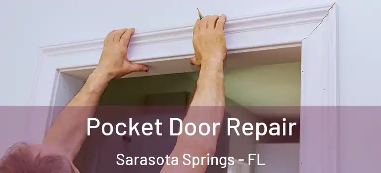Pocket Door Repair Sarasota Springs - FL