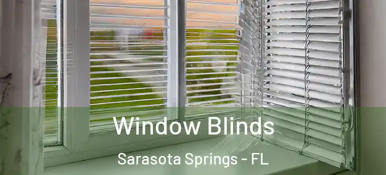 Window Blinds Sarasota Springs - FL