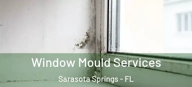 Window Mould Services Sarasota Springs - FL