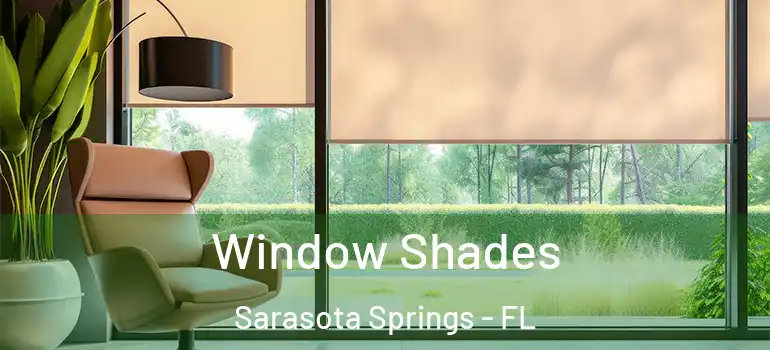 Window Shades Sarasota Springs - FL